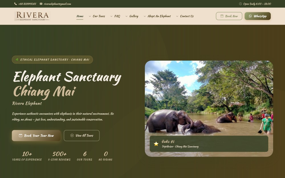 แสดงผลภาษาอังกฤษ